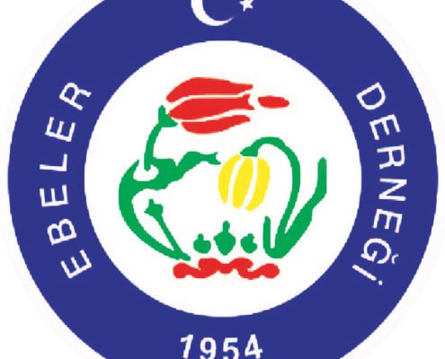  Türk Ebeler Derneği