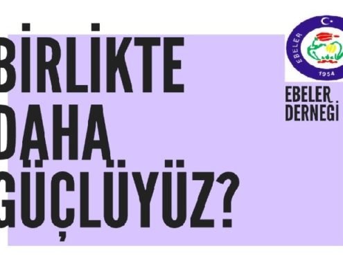 Türk Ebeler Derneği Türk Ebeler Derneği