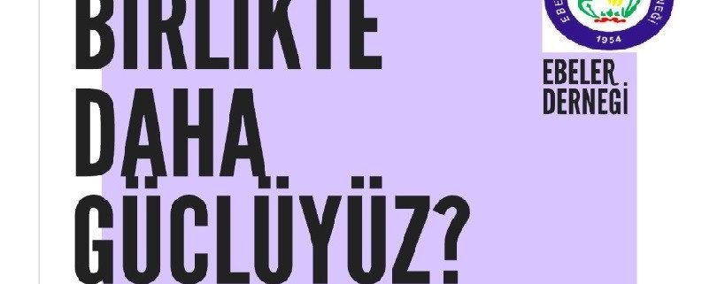 Türk Ebeler Derneği